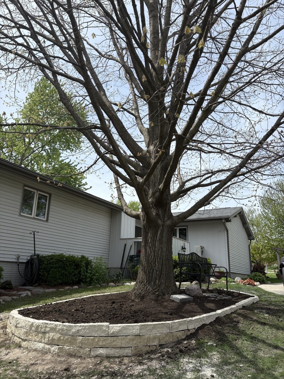 Architectural tree ring with stacked stone border in Johnston Iowa front yard