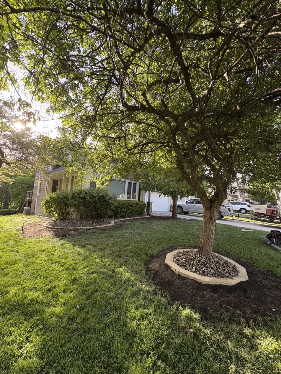 Stone tree ring with river rock and mulch edging in Des Moines Iowa residential front yard