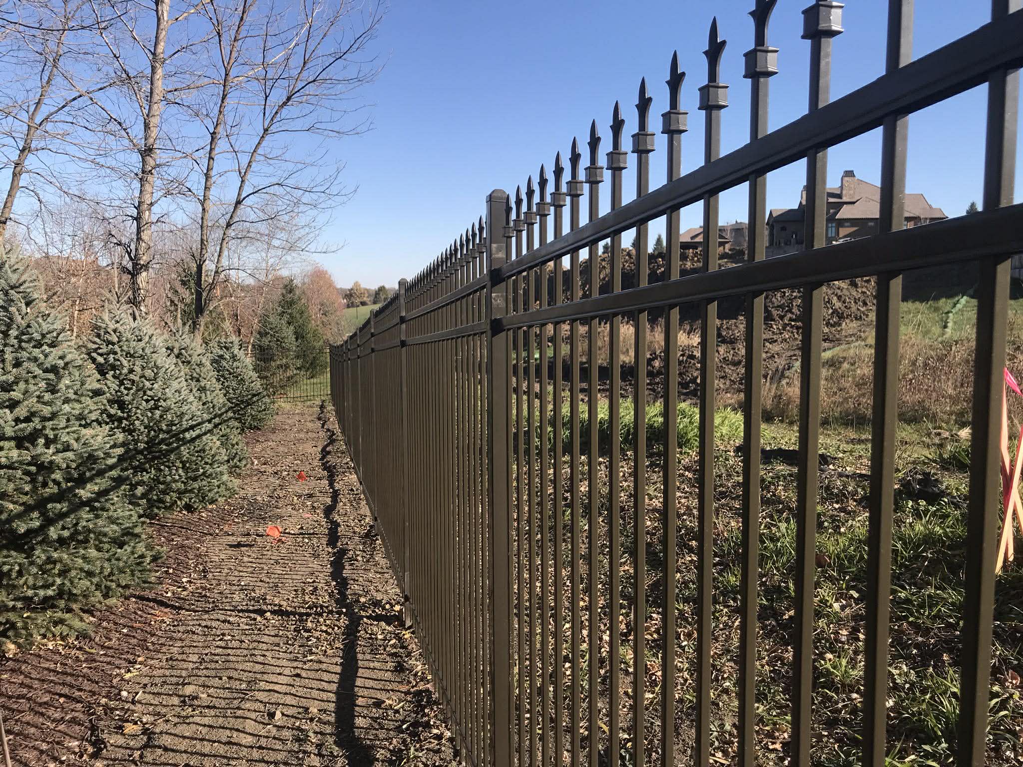 Ornamental black metal fence with privacy trees in Des Moines