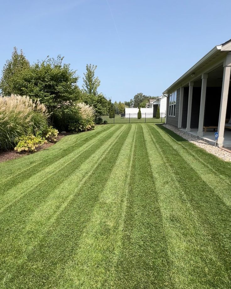 Beautifully maintained backyard lawn with landscaping border