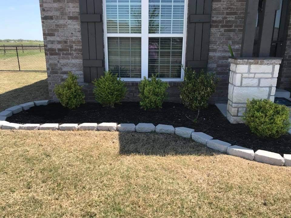 Dark mulch bed with boxwood shrubs and stone edging