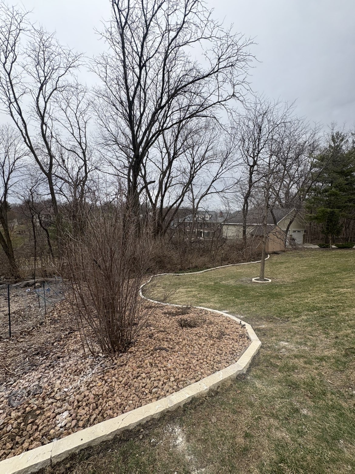 Long curved stone border with mulch bed and tree ring