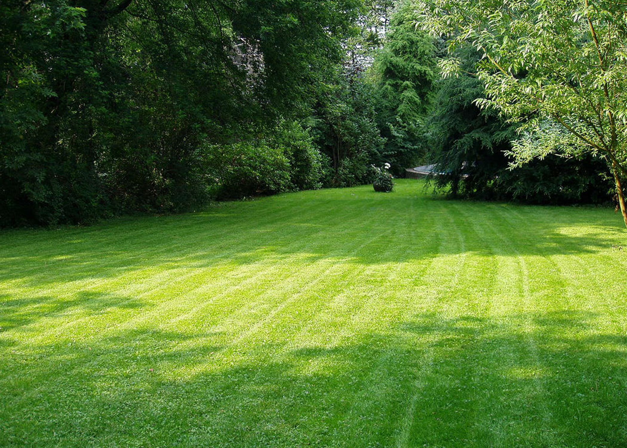Lawn Care in Waukee, Iowa by Green Thumb Outdoor Solutions