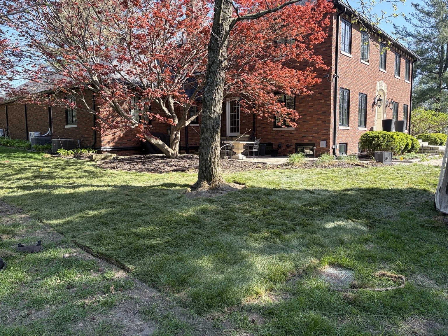 Freshly installed sod lawn completed at Des Moines home