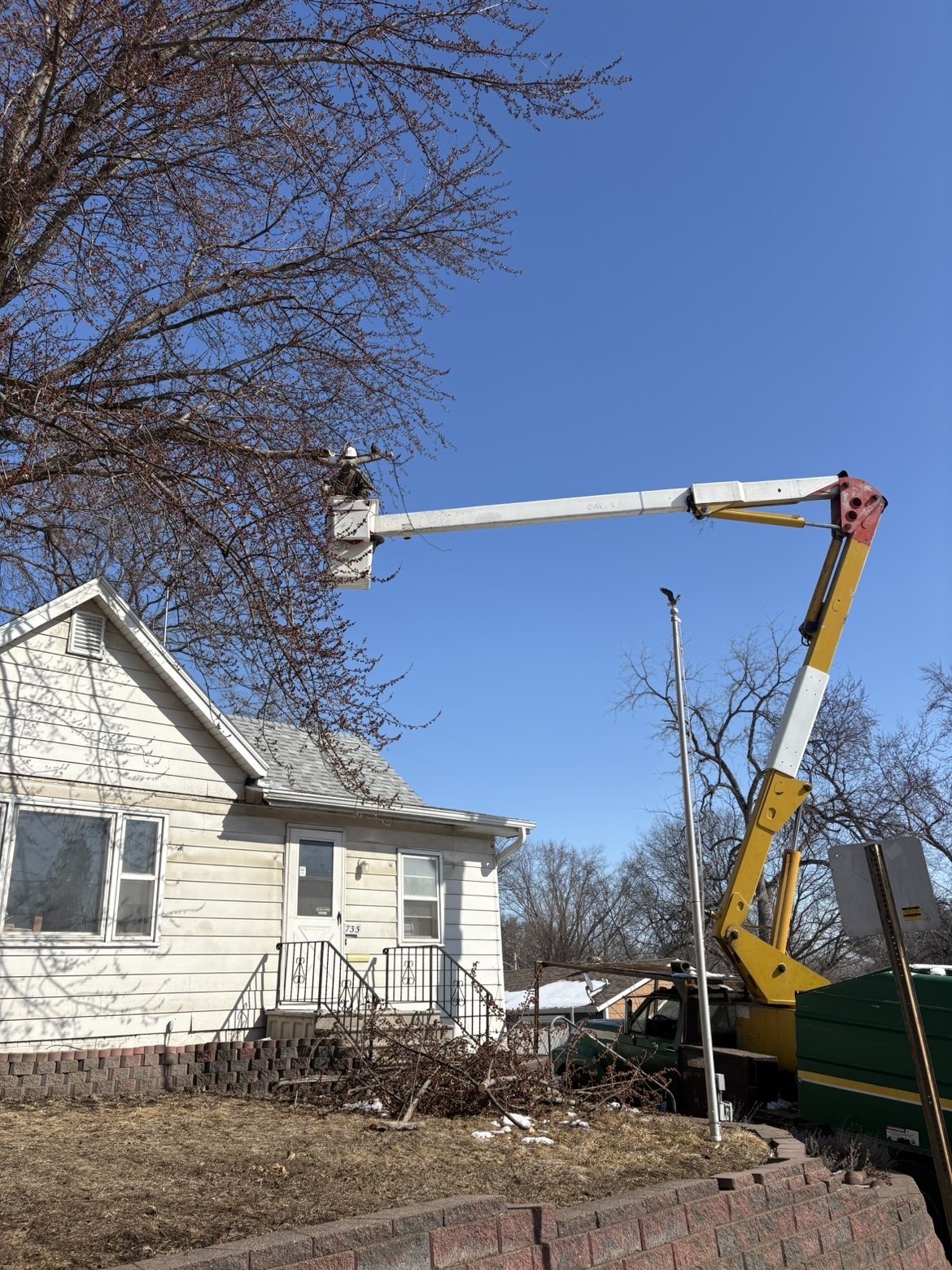 Tree removal completed project